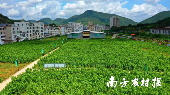 宋桂鎮(zhèn)南江蠶桑絲綢文化館