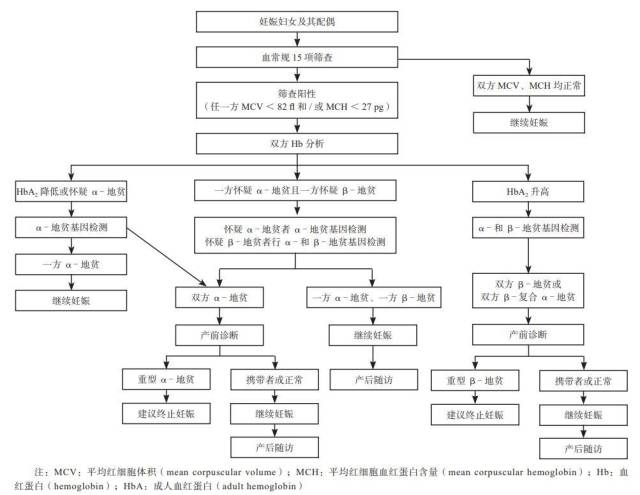 地中海贫血筛查与产前诊断流程（地中海贫血妊娠期管理专家共识，2020年）。  