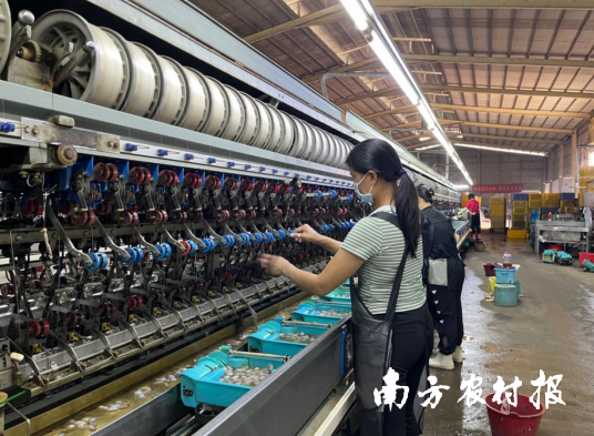 云浮市御華繭絲綢有限公司繅絲車間