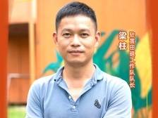 驻四会黄田镇工作队：振兴沙糖桔产业，新产业与新农人双向奔赴|驻镇这三年⑤