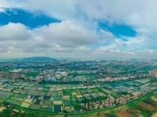 家在九江③｜桑园围里是家园