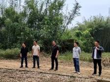 曲江区乌石镇：绿美乡村工作提“颜”增“质”