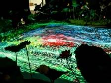 “市民共享展厅”在福田美术馆揭牌！迎来这个新展