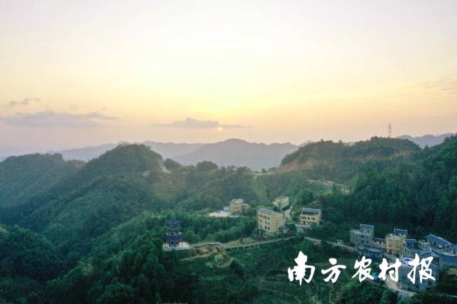 茶山全景。颜桂海/摄