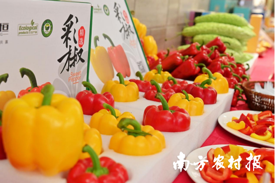 合浦特色优质农产品展销。林启波 摄