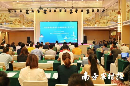 推介会现场。林启波 摄