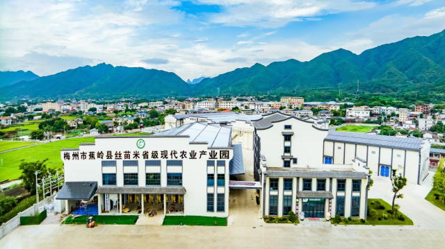 蕉岭县丝苗米省级现代农业产业园。 蕉岭县丝苗米省级现代农业产业园。