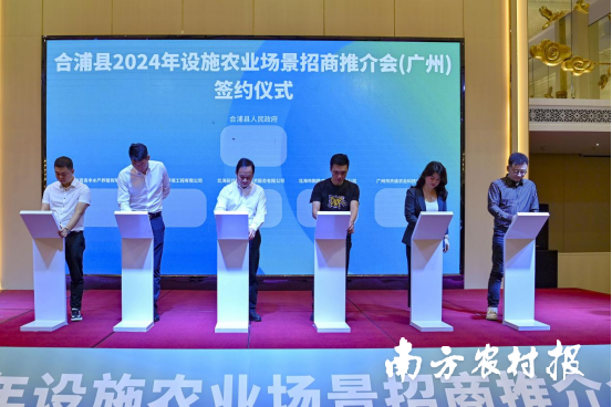 签约仪式。林启波 摄