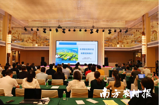 合浦县委副书记、县长白银冰在招商推介会作了农业投资环境推介。林启波 摄