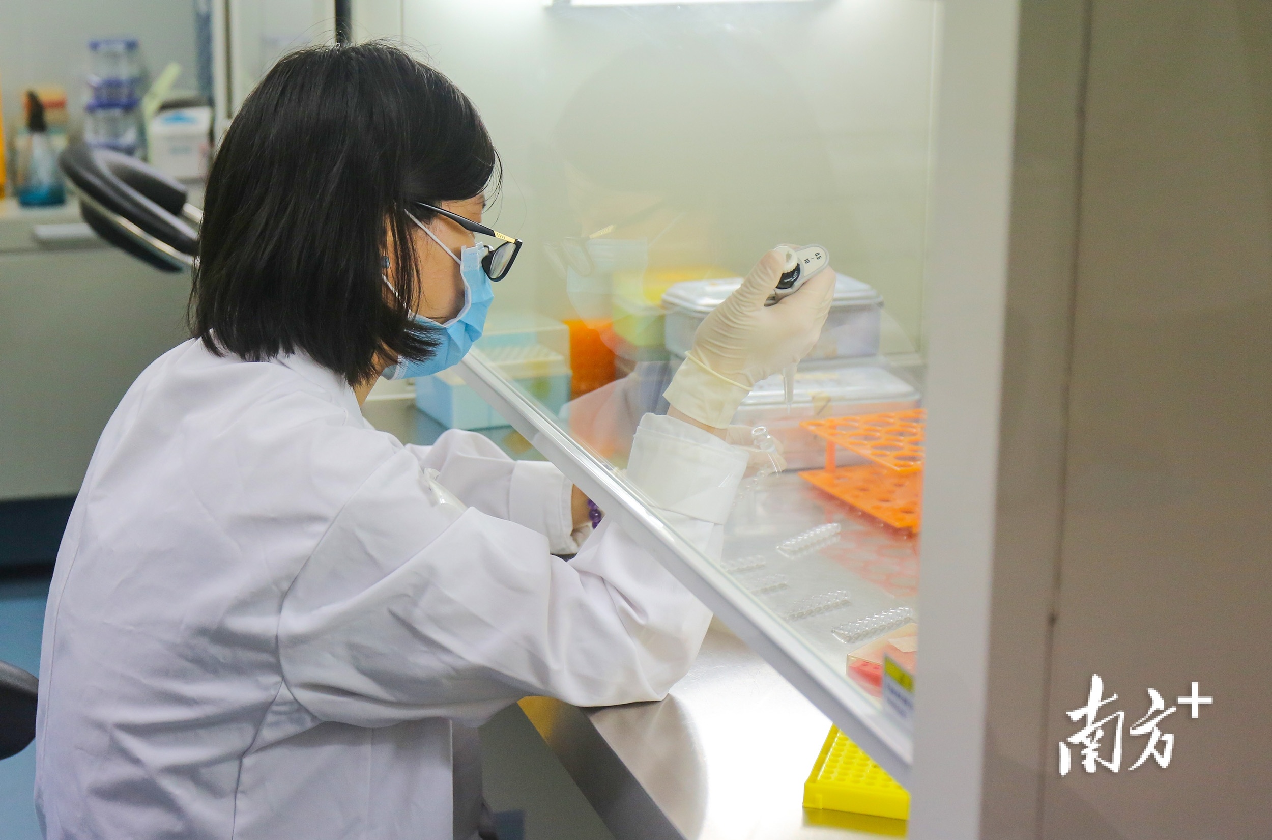 康方生物实验室一角。 南方+ 叶志文 拍摄