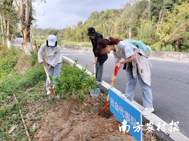 水头镇“雁归”大学生积极参与“我为家乡种棵树”活动。