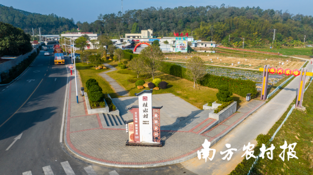 江门台山市台城街道桂水村。
