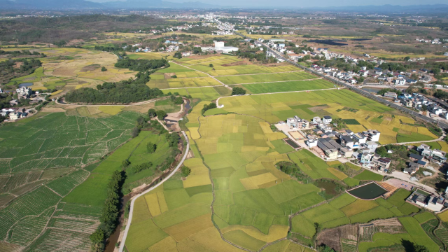 驻南雄湖口镇工作队:高标田播下新希望,土特产做出大文章 | 驻镇这三年⑦