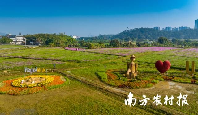 走进桂水村，“Hello桂水”和稻草人交相辉映，寓意桂水村张开怀抱迎接八方游客。