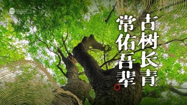 南方農(nóng)村報 李嘉鎵 制圖