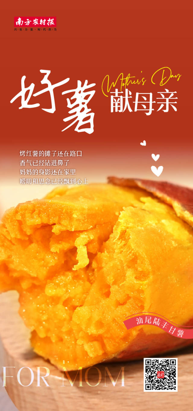 人民币终结三连涨 多因素促汇率短期趋稳