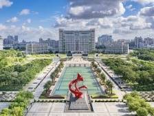 多点开花，提速推进“百千万工程”｜百千万莞一周