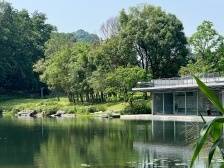 实干争先南山行①｜走进西丽：发现一个“新南山”