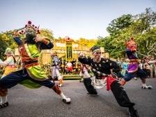 中泰“英歌走亲”再掀热潮，谁是下个岭南非遗“顶流”？｜视频