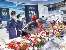 畅游展会赢礼品！深圳渔博会招募5至15岁的“小鱼儿”