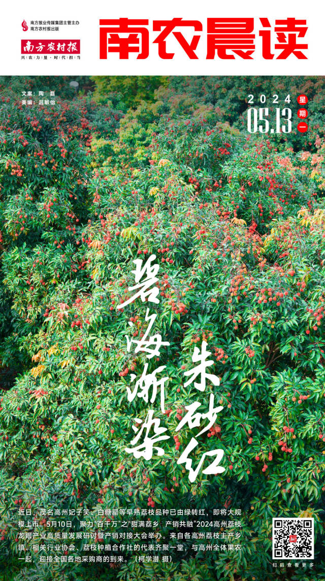 南方农村报 李嘉镓 制图