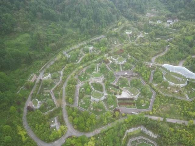 她终于实现了这个梦想,在海洋公园里负责照料中央政府赠送给香港特区