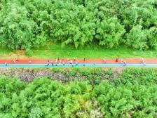 韶关浈江千余人徒步“典型村”，共赏田园风光