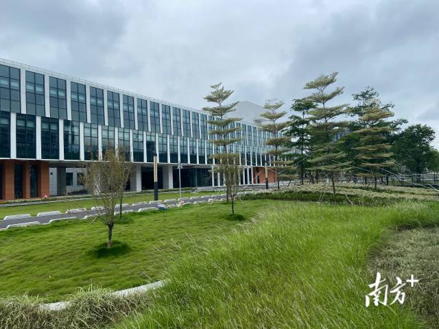 广以南校区打造大面积下沉式绿地，设置“雨水花园”。