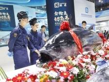 大咖齐聚深圳渔博会，金枪鱼产业论坛本周举办