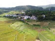 党建引领+智库支撑！惠州学院“双百行动”先锋队助力乡村振兴