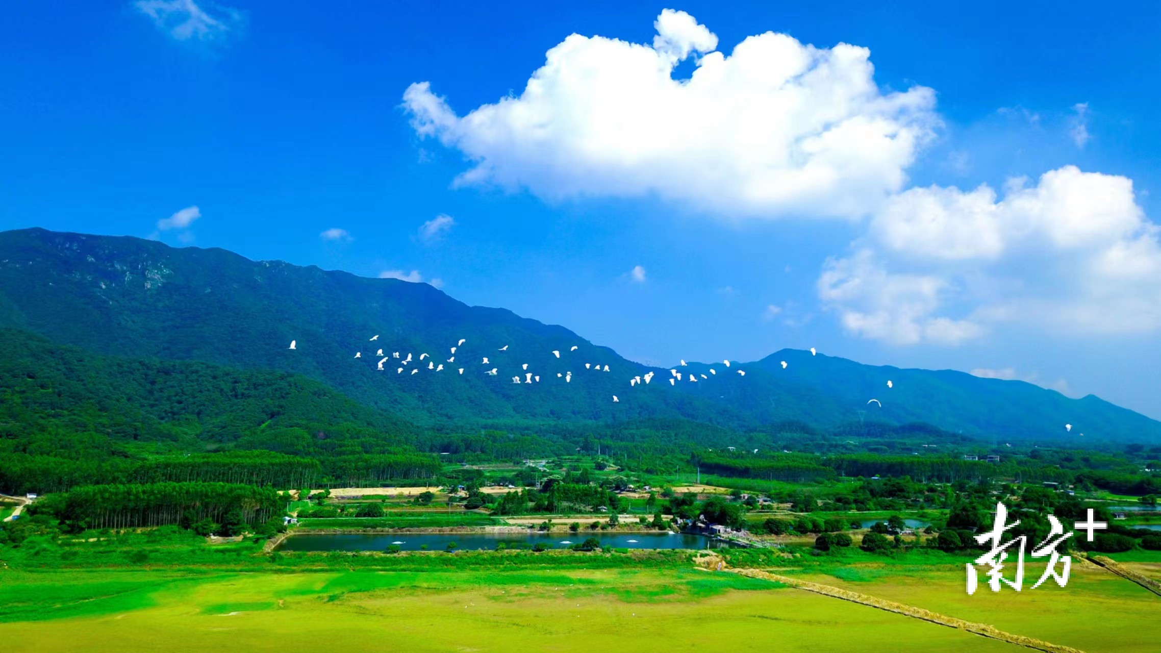 南山镇奋力打造发展与生态共融的“湾区香格里拉”。图为南山田园风光。南山镇政府供图