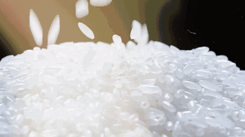 吉林白金名片——吉林大米。