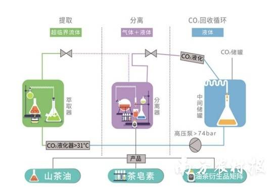 古朕山茶油超临界二氧化碳萃取加工链 古朕山茶油超临界二氧化碳萃取加工链