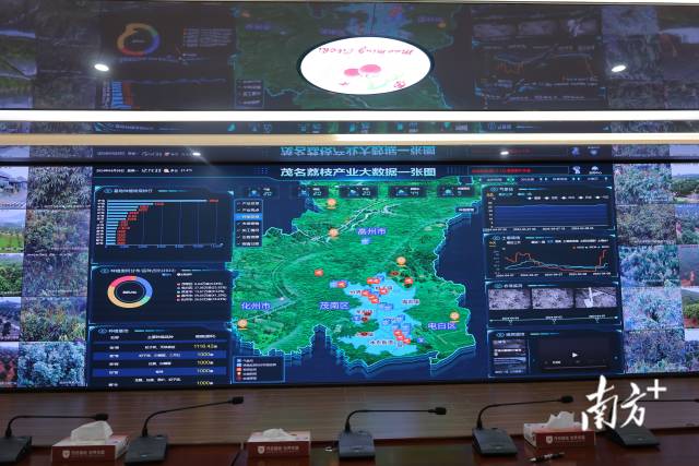 茂名市农业农村事务中心里,"茂名荔枝产业大数据一张图"实时监测着