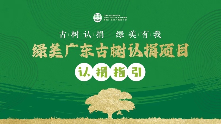 如何认捐一棵古树？视频版绿美广东古树认捐项目指引来了！