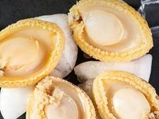 深圳渔博会观展攻略+美食地图来了！错过等一年