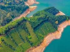 高质量 拼实干 | 因绿而兴 向新而行