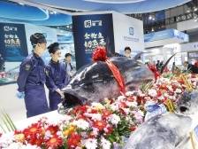 深圳渔博会数币福利来了！单次最高补贴100元