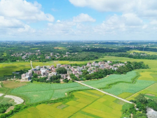 观珠镇葛山村：“电商村”产业提质记 | 茂名典型村一线行⑯