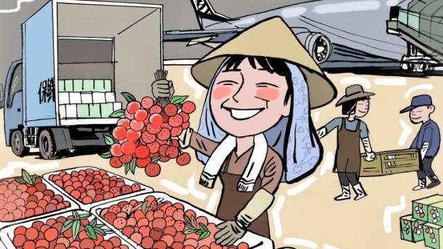 小荔枝，大科技 | 科技赋能“百千万”