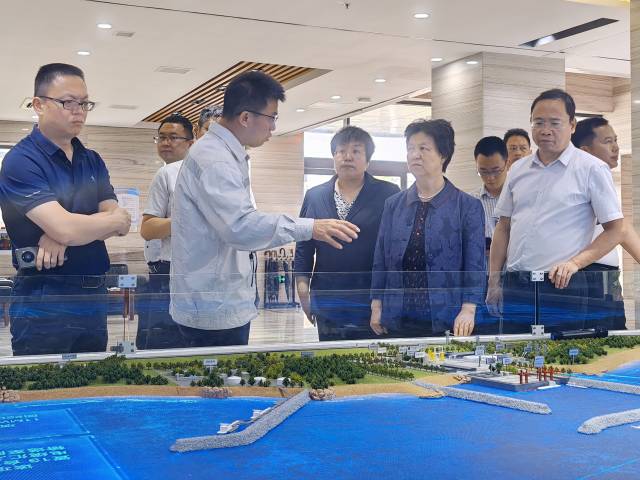 朱蓓薇在国家电投（揭阳）前詹风电有限公司调研。