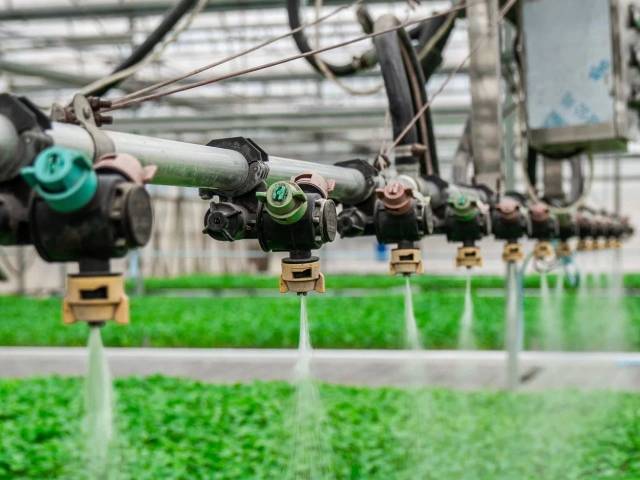 蔬菜工厂化育苗中心喷灌设备 谭家富摄