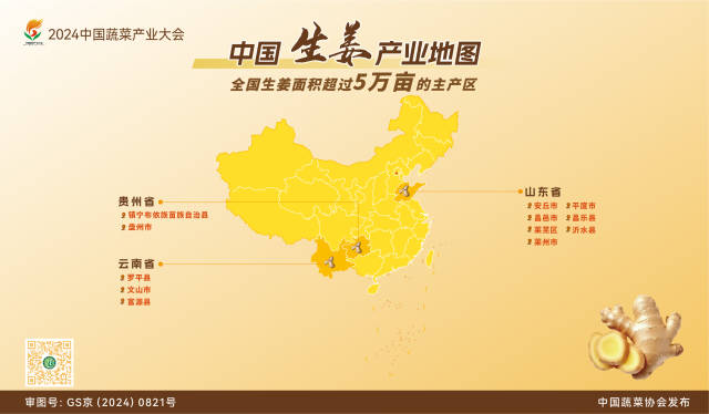 中国生姜产业地图