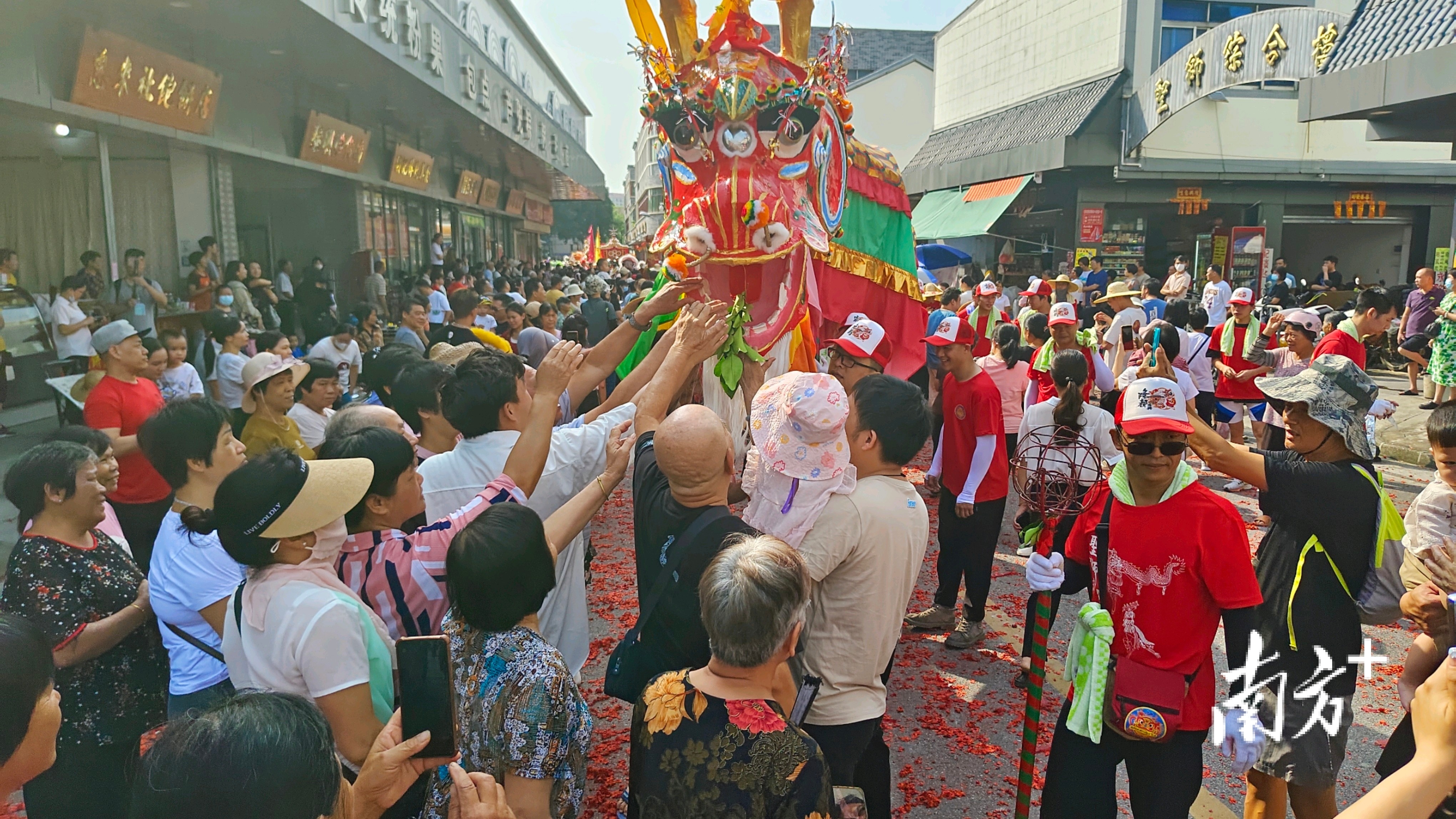 摸龙头、龙须,寓意带来福运。 南方+ 陈少宏 拍摄