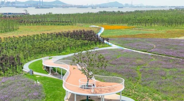 和县浮沙圩 图片来源：望天门