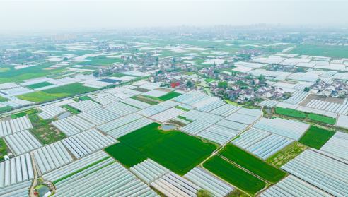 和县蔬菜大棚（航拍图） 谭家富摄