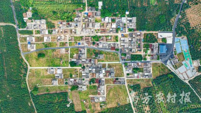 遂溪县乌塘镇新屋村 李睦宇拍摄