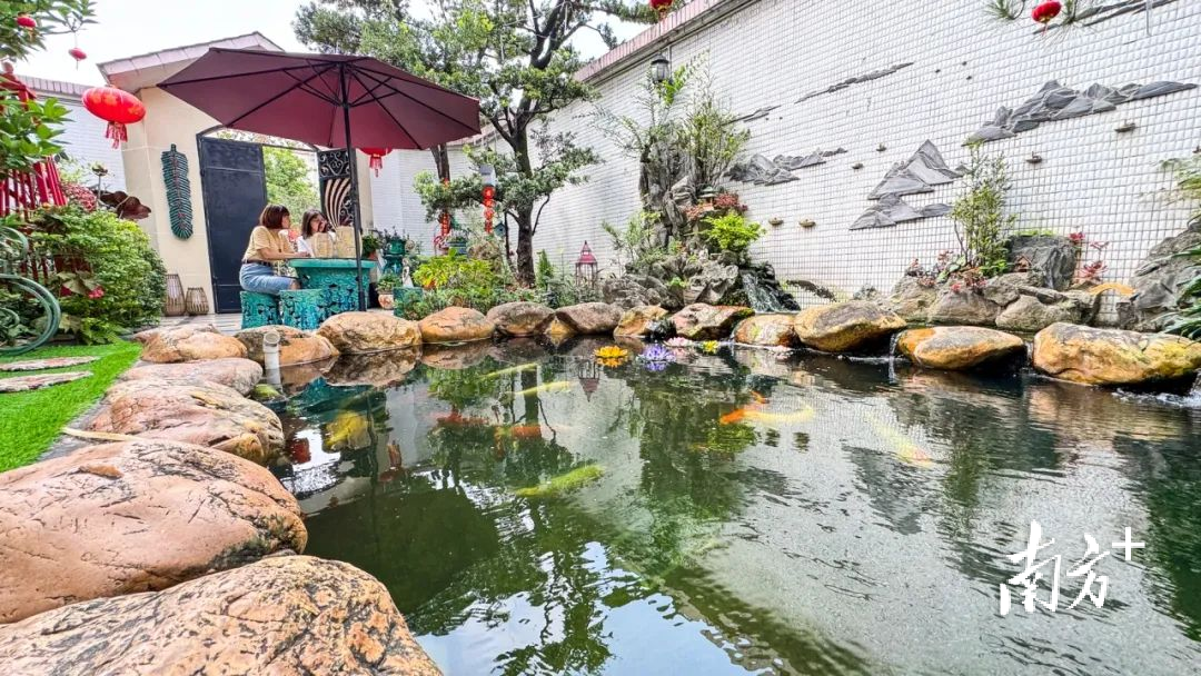 小榄镇美丽庭院。