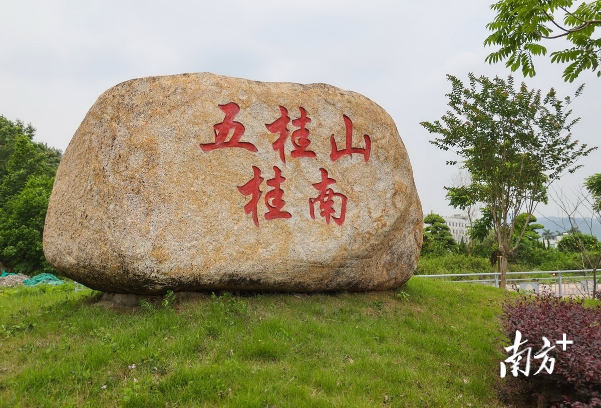 五桂山桂南村。 南方+ 叶志文 拍摄