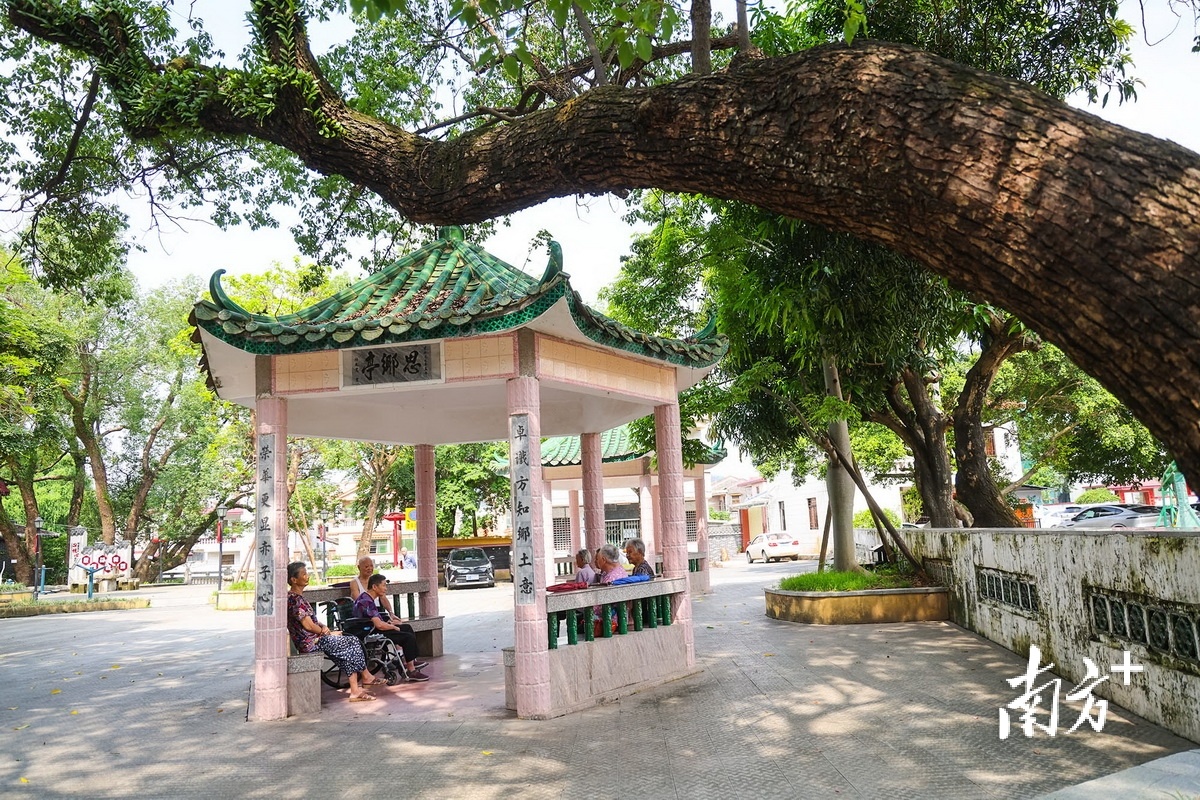 桂南村。 南方+ 叶志文 拍摄